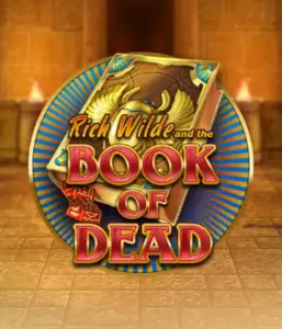 Enter the thrilling world of Book of Dead Slot by Play'n GO, featuring vivid graphics of Rich Wilde’s adventurous journey through ancient Egyptian tombs and artifacts. Find lost riches with exciting mechanics like free spins, expanding symbols, and a gamble option. Ideal for adventure enthusiasts with a desire for exciting finds.